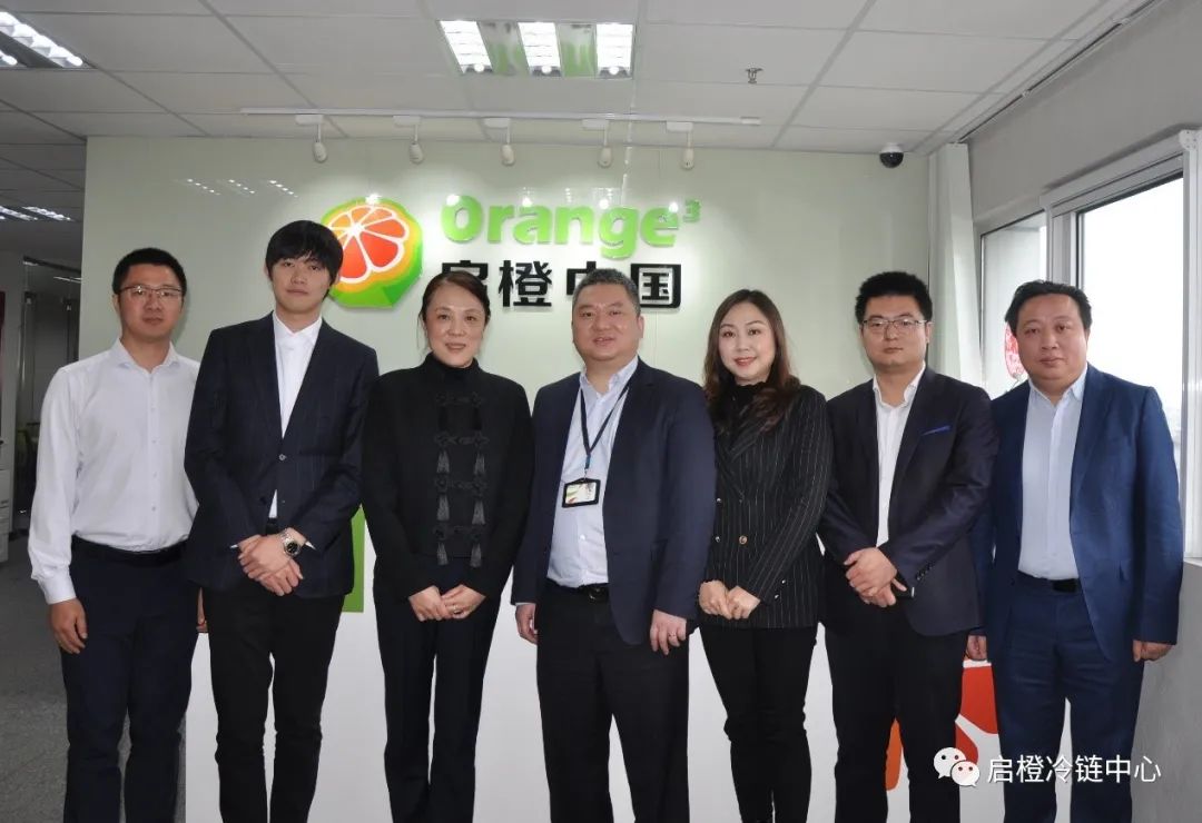 启橙2.jpg