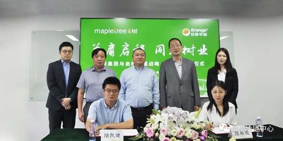 丰树与启橙.jpg 丰树与启橙.jpg